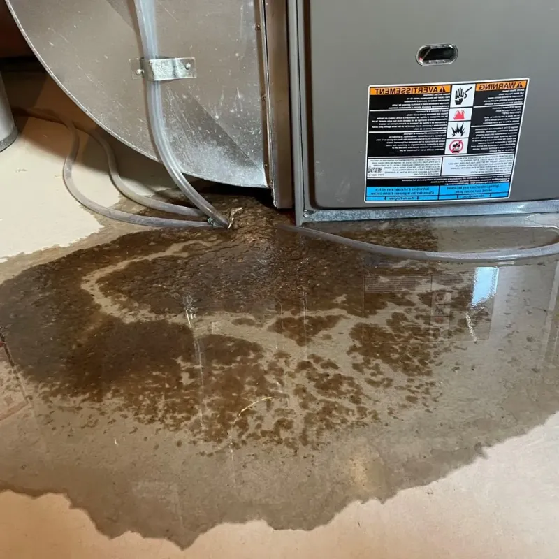 Pipe Burst and Leak Restoration in Manhattan, NY